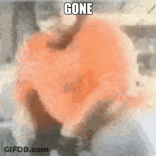 Pixelated Person Saying Gone GIF