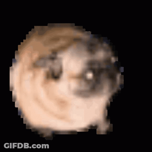 Pixelated Pug Dancing Dog GIF