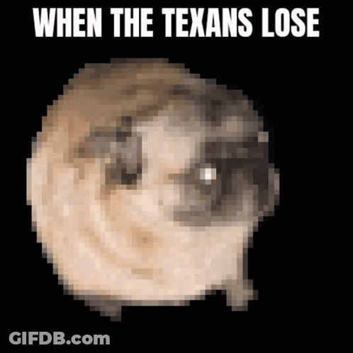 Pixelated Pug When The Texans Lose GIF