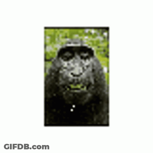 Pixelated Spinning Monkey Smirk GIF