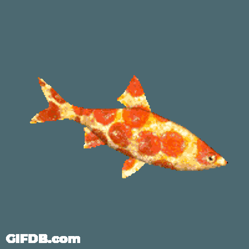 Pizza Fish Sticker GIF