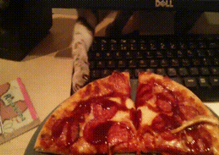 Pizza Thief Cat Behind Computer GIF