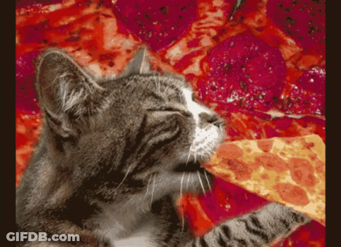 Pizza Time GIF