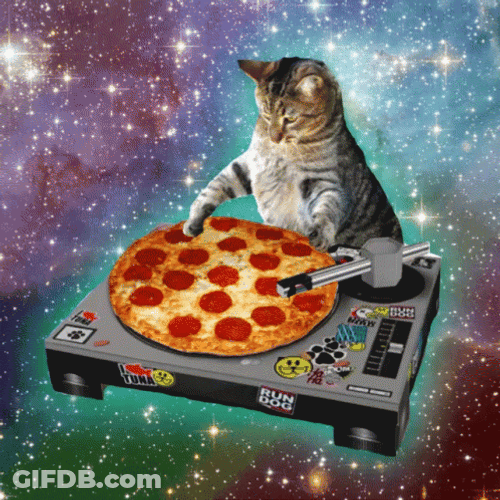 Pizza Time Cat DJ GIF