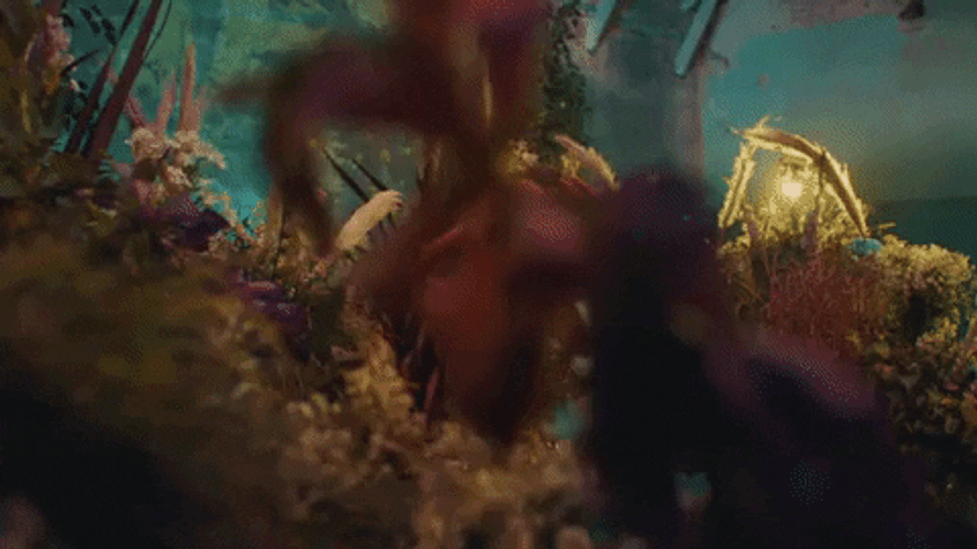 Place Of Magic Mystical Creatures Meme GIF