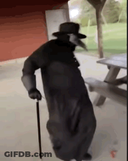 Plague Doctor Holding Cane Walking GIF