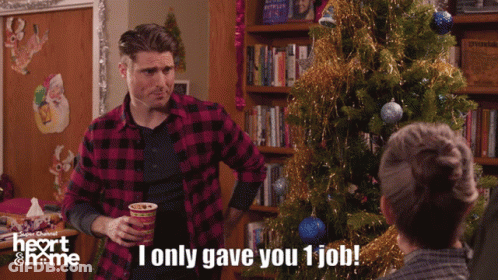 Plaid Man I Only Gave You 1 Job GIF