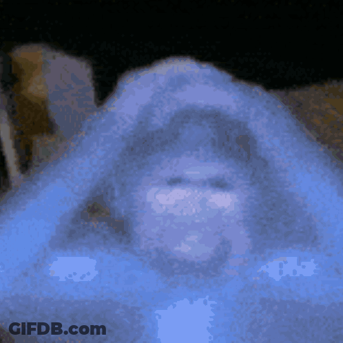 Plaid Shirt Man Says Kyu Nhau Ho Rahi Padhai GIF