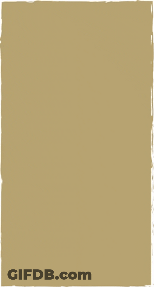 Plain Beige Minimalist Concept GIF