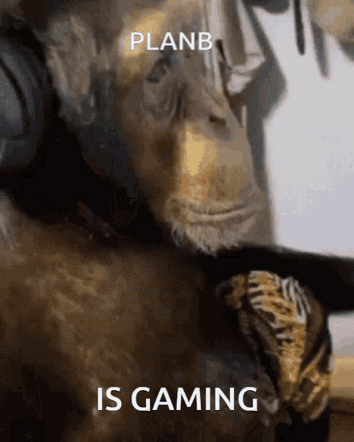 Plan B Gaming GIF