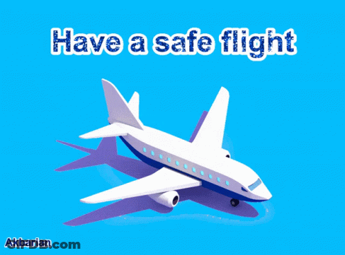 Plane And Have A Safe Flight GIF