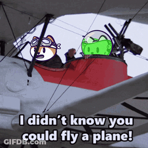 Plane Cartoon Saying I Didn't Know You Could Fly GIF