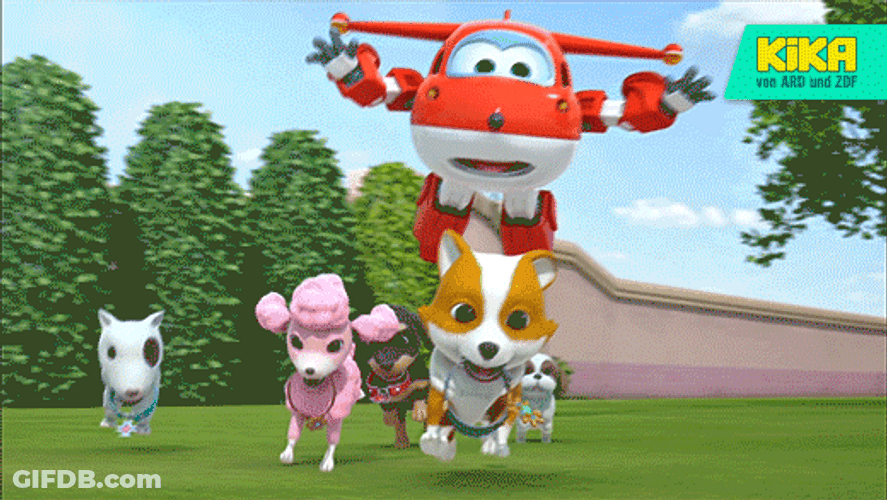 Plane Chasing Dog Fell Down Into Fountain Funny Thing GIF