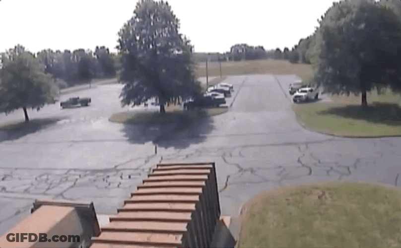 Plane Crash Saved By The Tree GIF