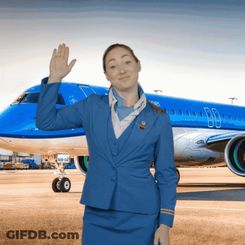 Plane Dance Flight Attendant GIF