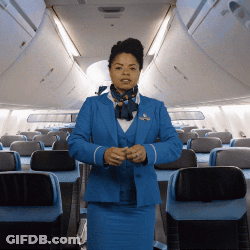 Plane Fingergun Flight Attendant GIF