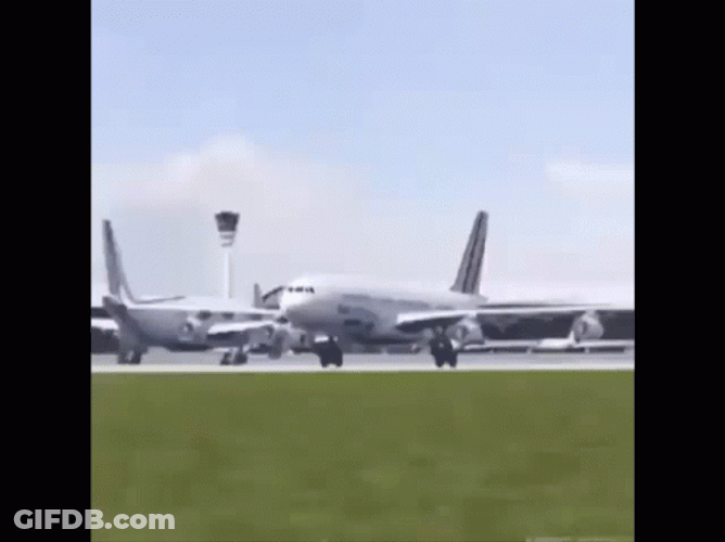 Plane Flapping Wing Nicholas Cage Think Its Funny GIF
