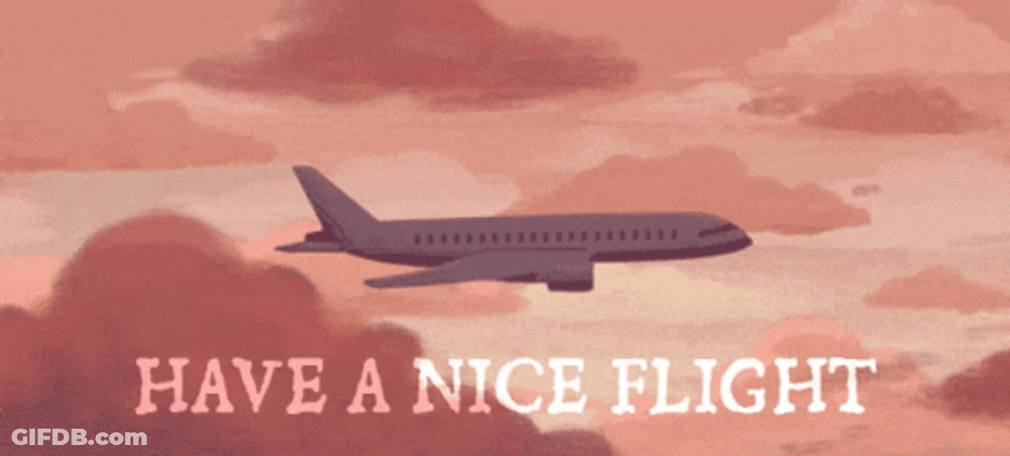 Plane Flight Aesthetic Sunset GIF