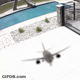 Plane Flying Over Swimming Pool GIF