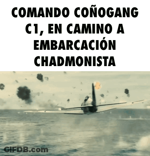 Plane Flying Over Water With Words Comando Conogang C1 GIF