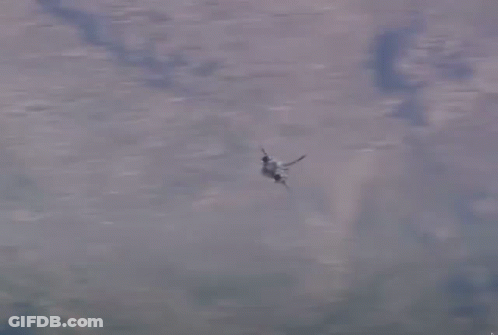 Plane Flying Through Clouds GIF