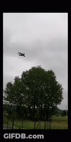 Plane Flying Through Cloudy Sky Above Tree GIF