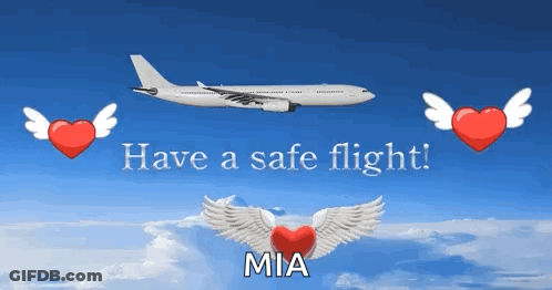 Plane Flying With Have A Safe Flight Mia GIF
