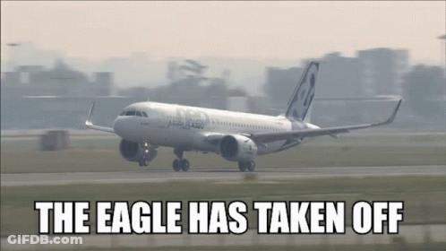Plane Runway The Eagle Has Taken Off GIF