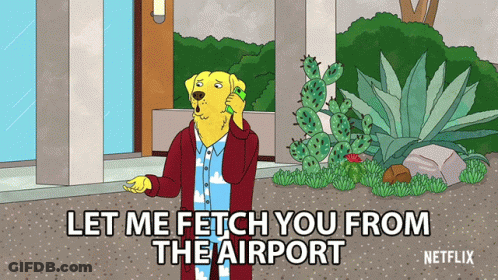 Plane Taking Off From Runway With Trees GIF
