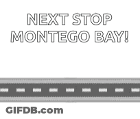 Plane Taking Off With Next Stop Montego Bay GIF