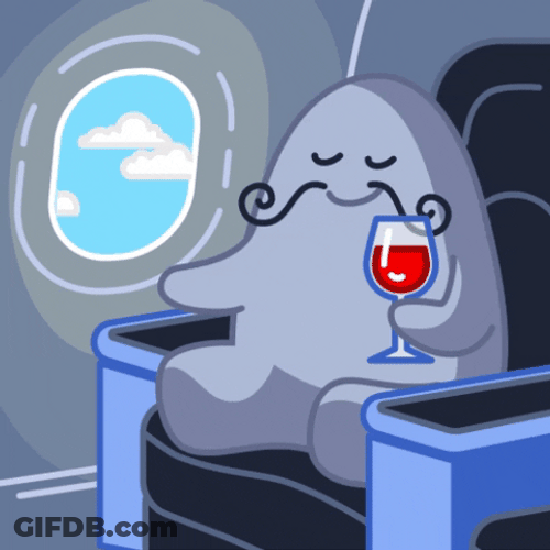 Plane Travel Drinking Wine GIF