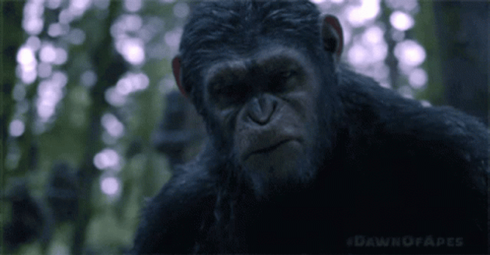 Planet Of The Apes Aluggy Man GIF