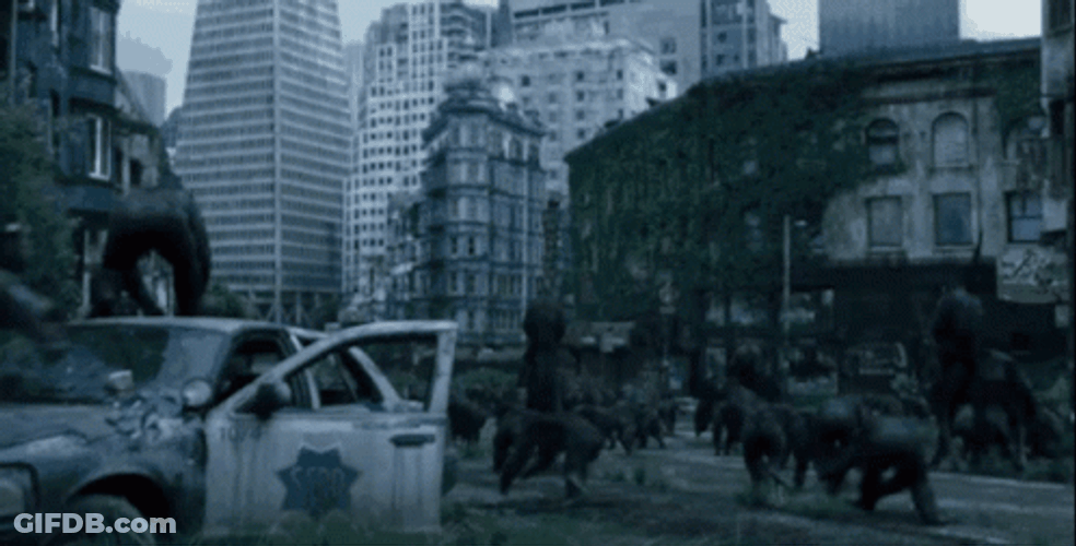 Planet Of The Apes Apocalypse GIF