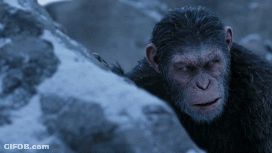 Planet Of The Apes Avalanche GIF