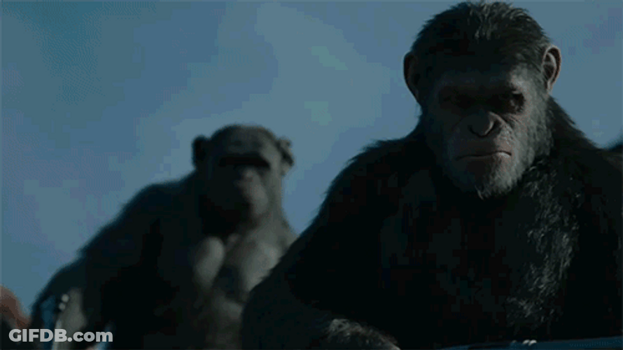 Planet Of The Apes Caesar Attacking Soldier GIF