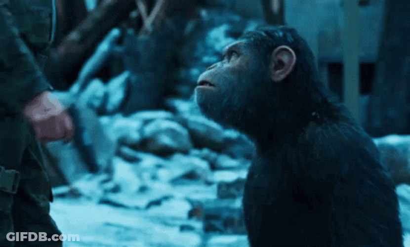 Planet Of The Apes Caesar Gun On Head GIF