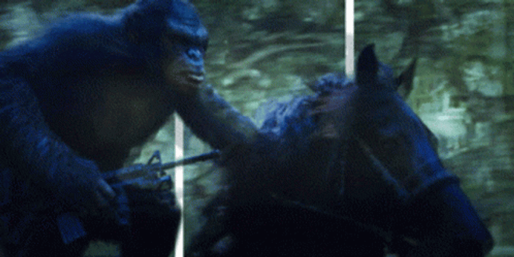 Planet Of The Apes Caesar Horse Riding GIF