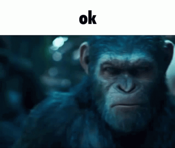 Planet Of The Apes Caesar Ok GIF