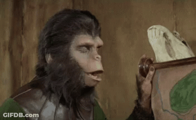 Planet Of The Apes Funny Face GIF