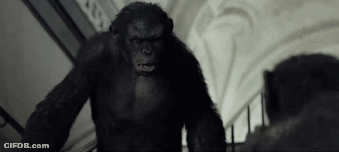 Planet Of The Apes GIF