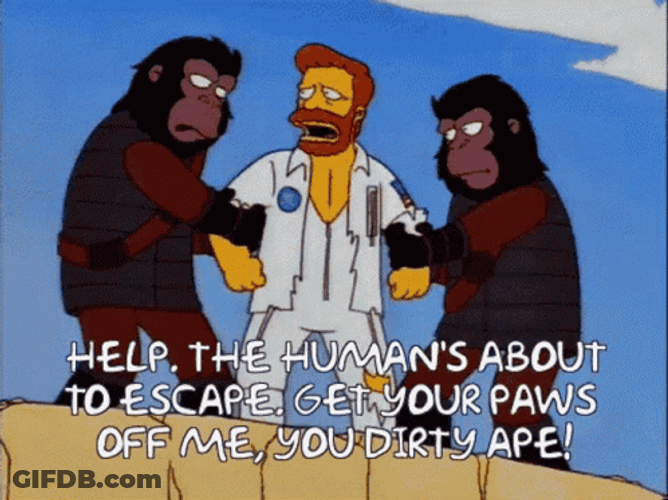 Planet Of The Apes GIF