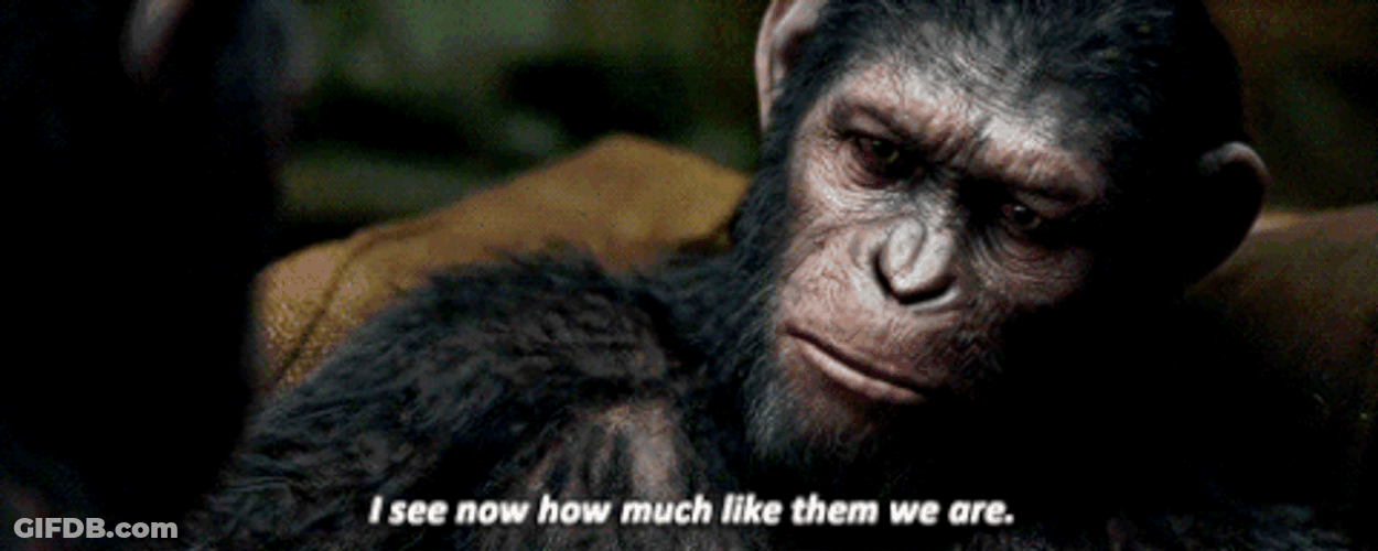 Planet Of The Apes I See Now Caesar GIF