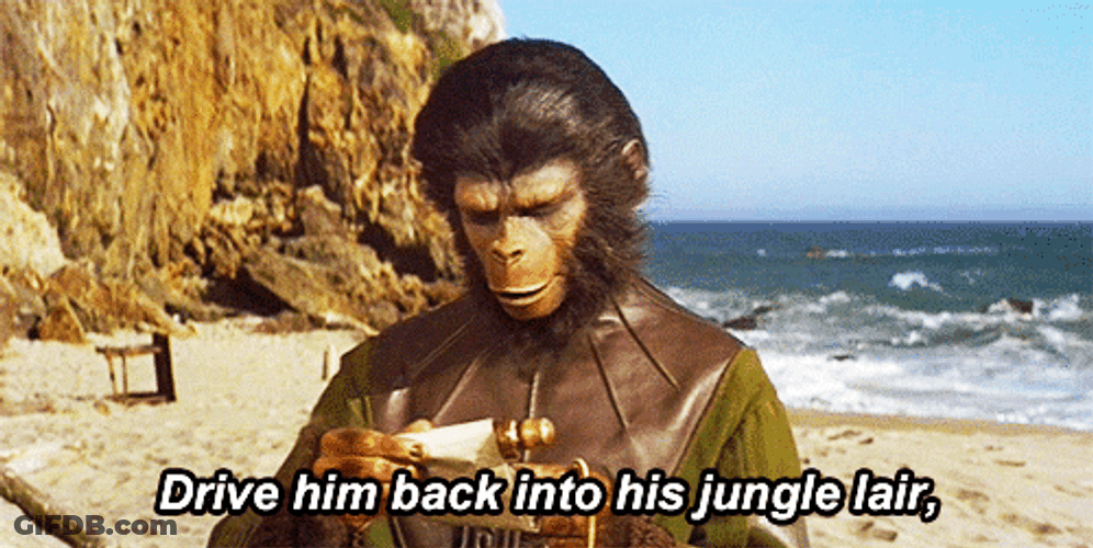 Planet Of The Apes Jungle Lair GIF