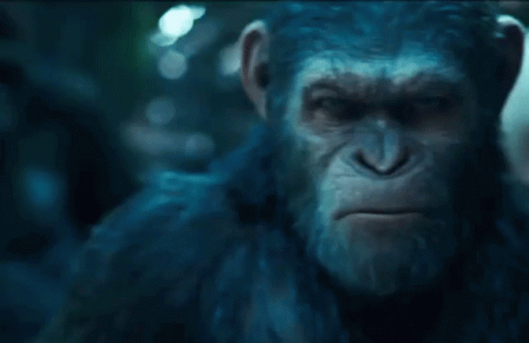 Planet Of The Apes Mad Caesar GIF