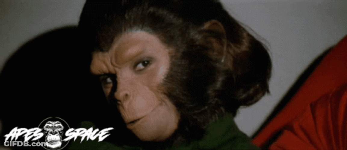 Planet Of The Apes GIF