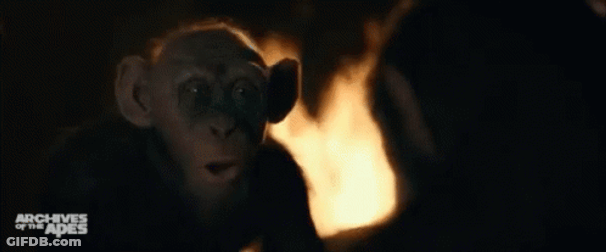 Planet Of The Apes Monkey Pointing GIF