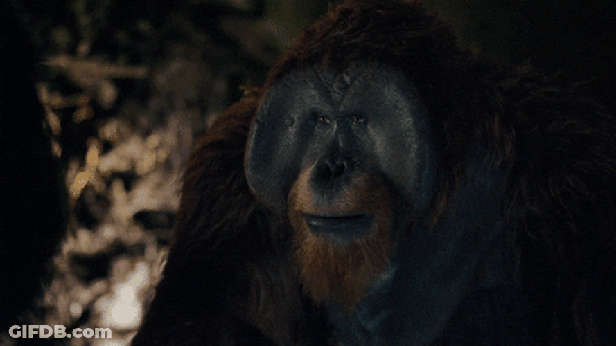 Planet Of The Apes Nova And Maurice GIF