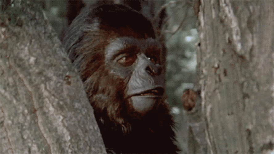 Planet Of The Apes Shocked Open Mouth GIF