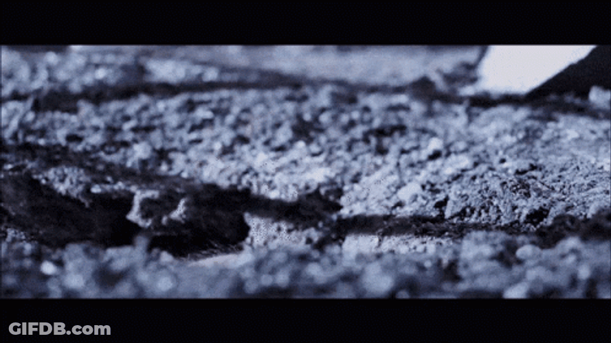 Planet Of The Apes GIF