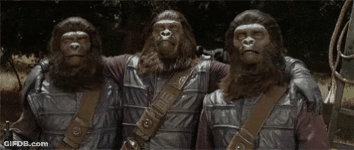 Planet Of The Apes Three Apes GIF